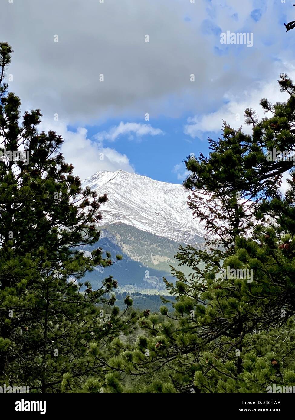 Schneebedeckter Colorado Mountain Stockfoto