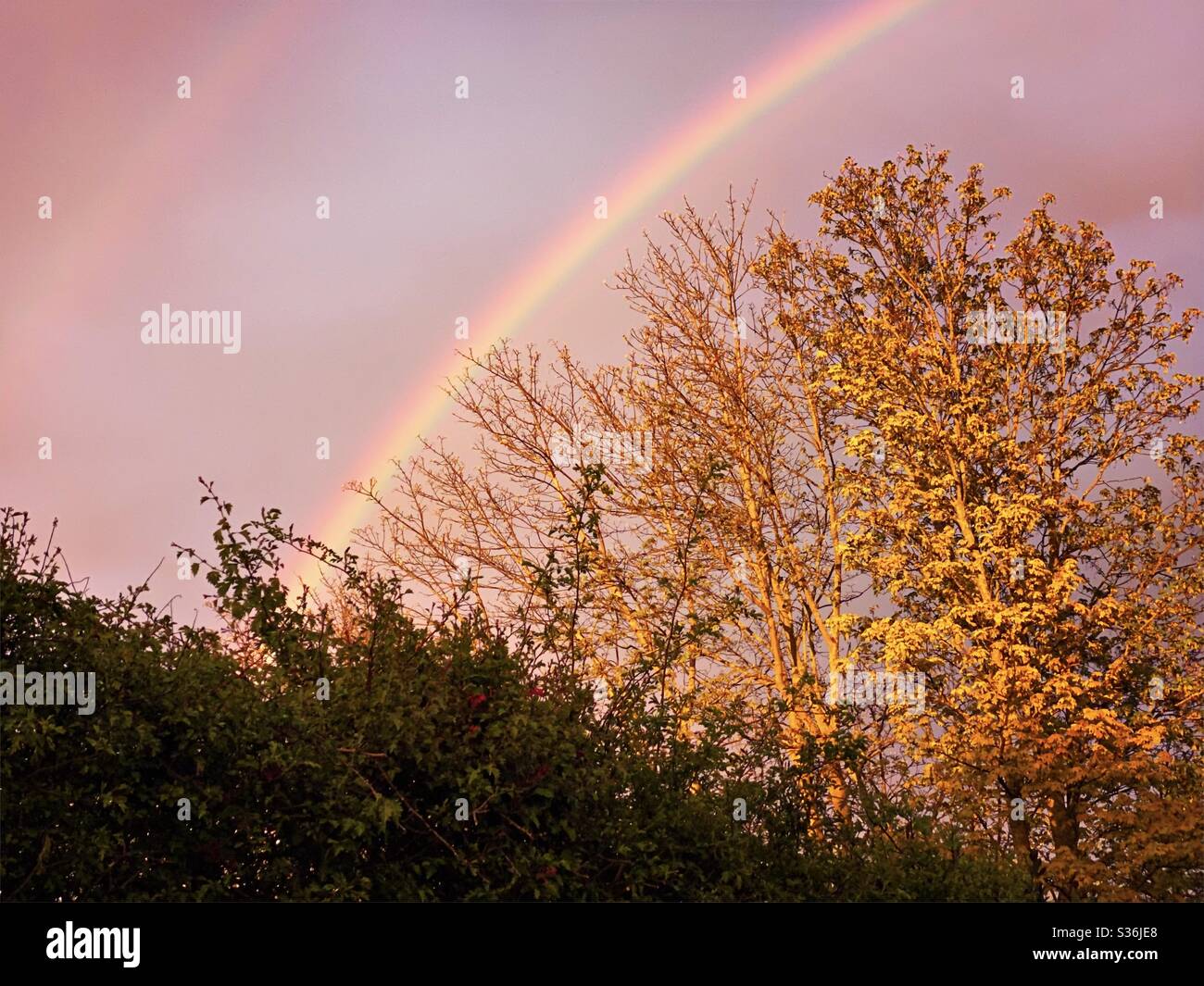 Ein malerischer Blick auf einen dramatischen Himmel mit schönen und bunten Regenbogen gegen Regenwolken, während die Sonne untergeht während der goldenen Stunde und abstrakte Farben erzeugt. Symbol der Hoffnung in Zeiten der Mühe. - Smartphone-aufgenommenes Stockfoto