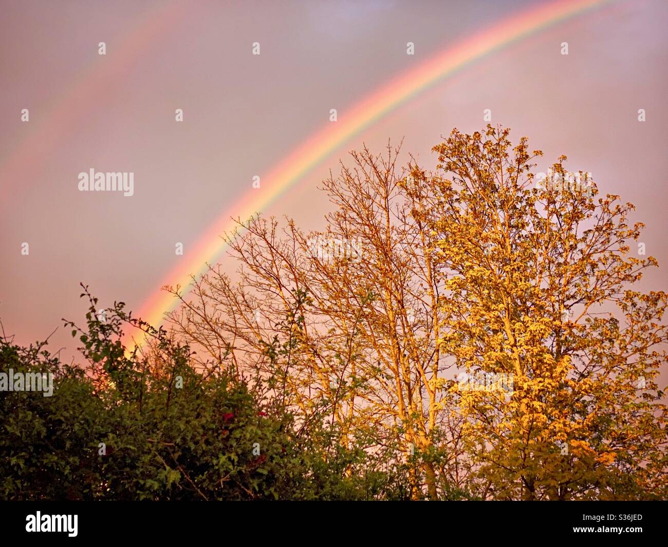 Ein malerischer Blick auf einen dramatischen Himmel mit schönen und bunten Regenbogen gegen Regenwolken, während die Sonne untergeht während der goldenen Stunde und abstrakte Farben erzeugt. Symbol der Hoffnung in Zeiten der Mühe. - Smartphone-aufgenommenes Stockfoto