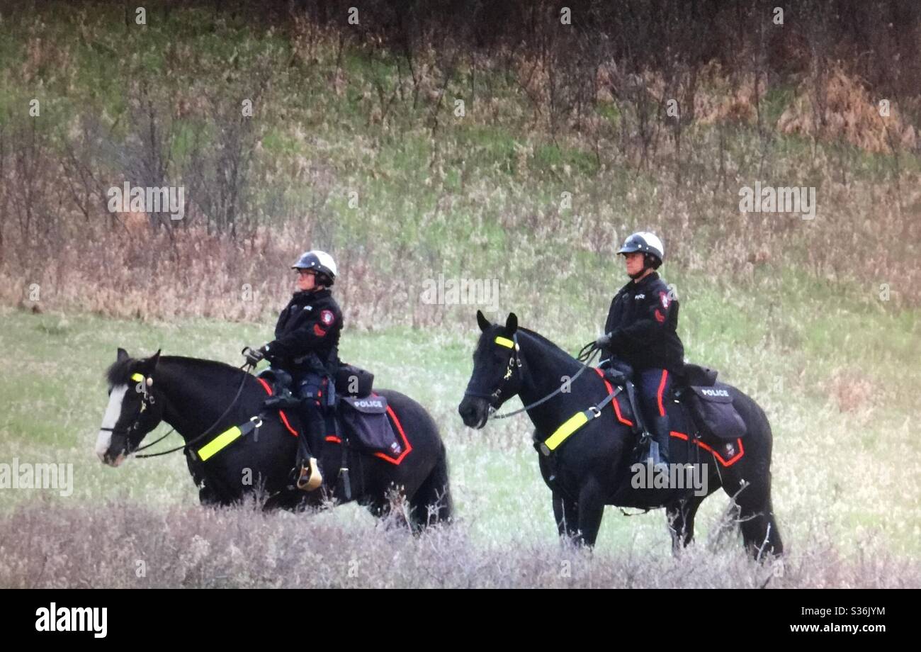 Calgary Stadtpolizei patrouilliert Hull Wood Park, Calgary, Alberta Stockfoto