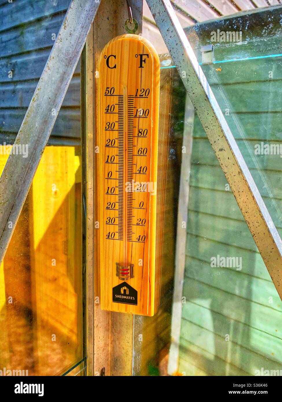 Thermometer in einem Gewächshaus mit 30’c. Stockfoto