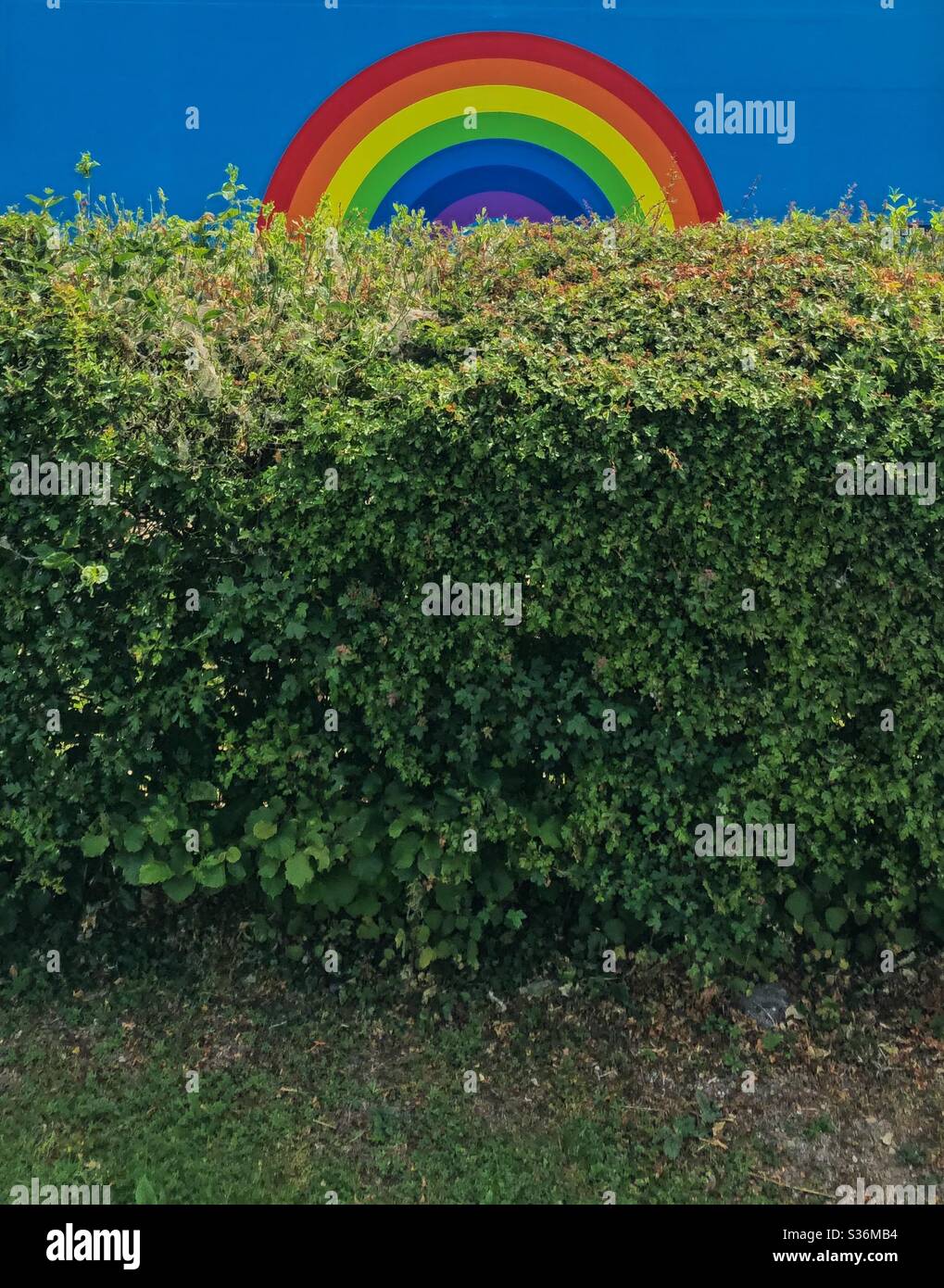 Regenbogen Wandgemälde für NHS-Mitarbeiter hinter Hecke. Stockfoto