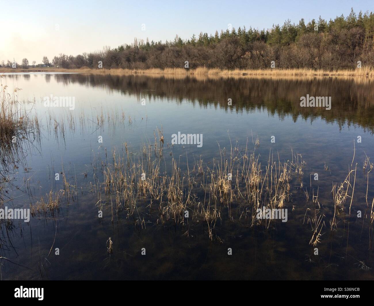 River Park - Smartphone-aufgenommenes Stockfoto