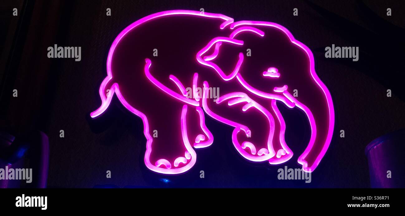 Elefant im Raum, buchstäblich und metaphorisch. An der Wand, wirklich. - Smartphone-aufgenommenes Stockfoto