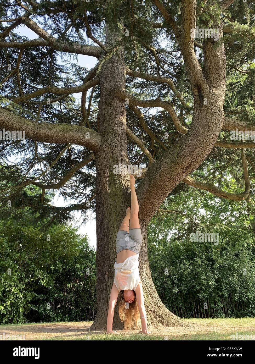 Mädchen, die Handstand gegen Zedernbaum - Smartphone-aufgenommenes Stockfoto