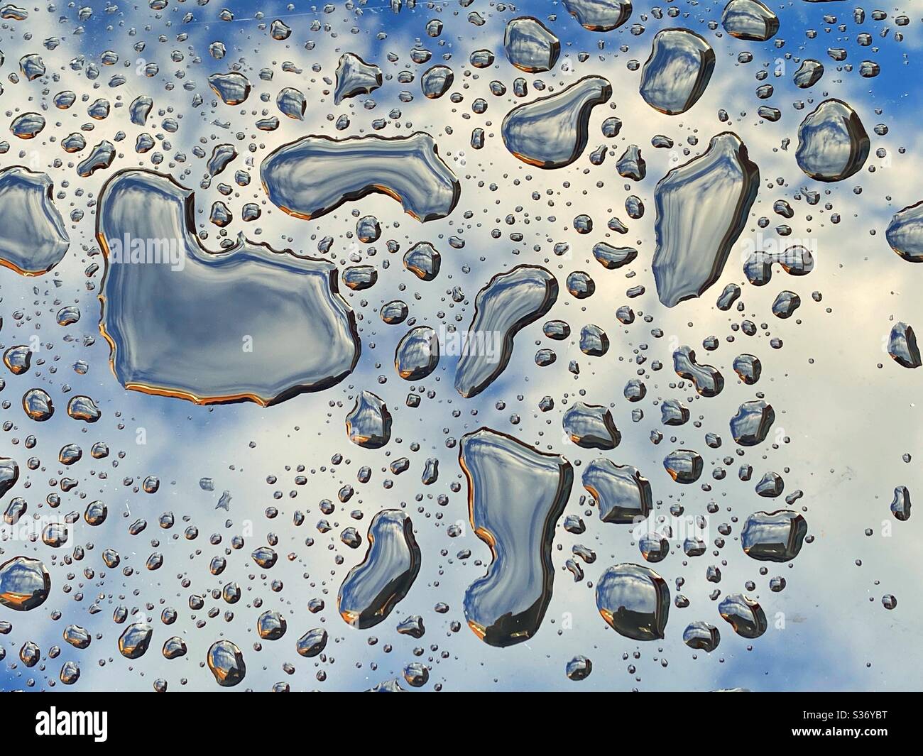 Tropfen Regen auf einer Glastafel mit Himmel und Wolken, die sich auf der Oberfläche spiegeln Stockfoto