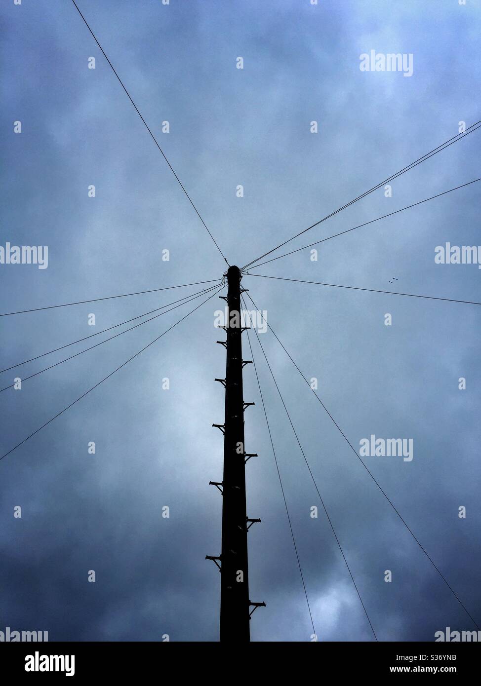 Telegrafenmast. Stockfoto