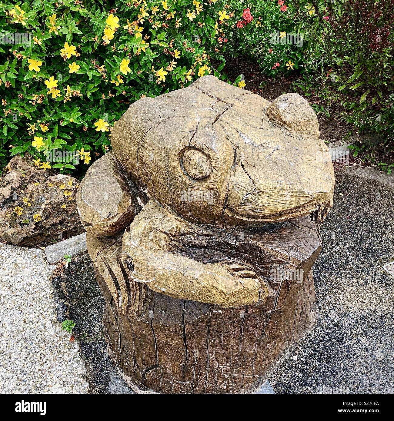 Geschnitzte Kröte Skulptur aus Baumstamm von P. van Ingren, Brenne, Indre, Frankreich. Stockfoto