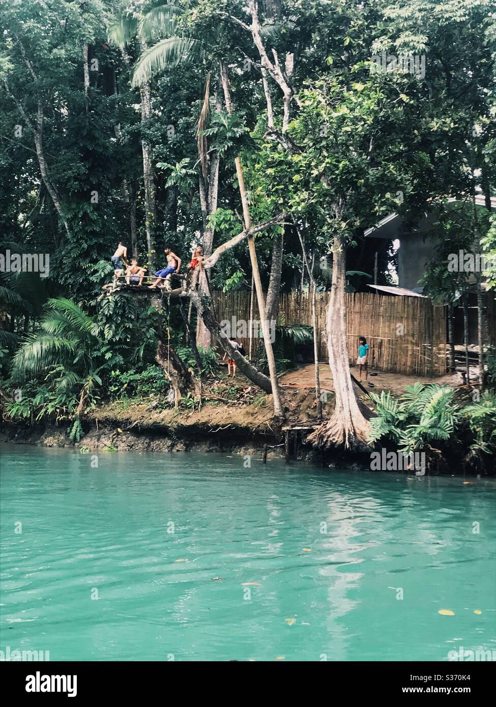 Philippinische Kinder springen von einem Ast in den Lombok Fluss auf den Philippinen. Stockfoto