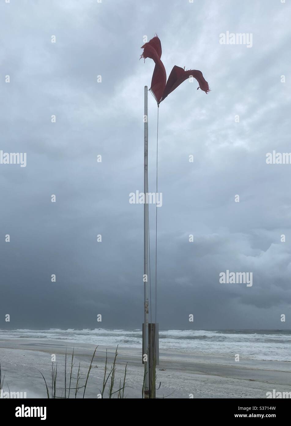 Rote Warnflagge fliegt stark gegen tropische Sturmwinde, als Cristobal am Golf von Mexiko ankommt - Smartphone-aufgenommenes Stockfoto