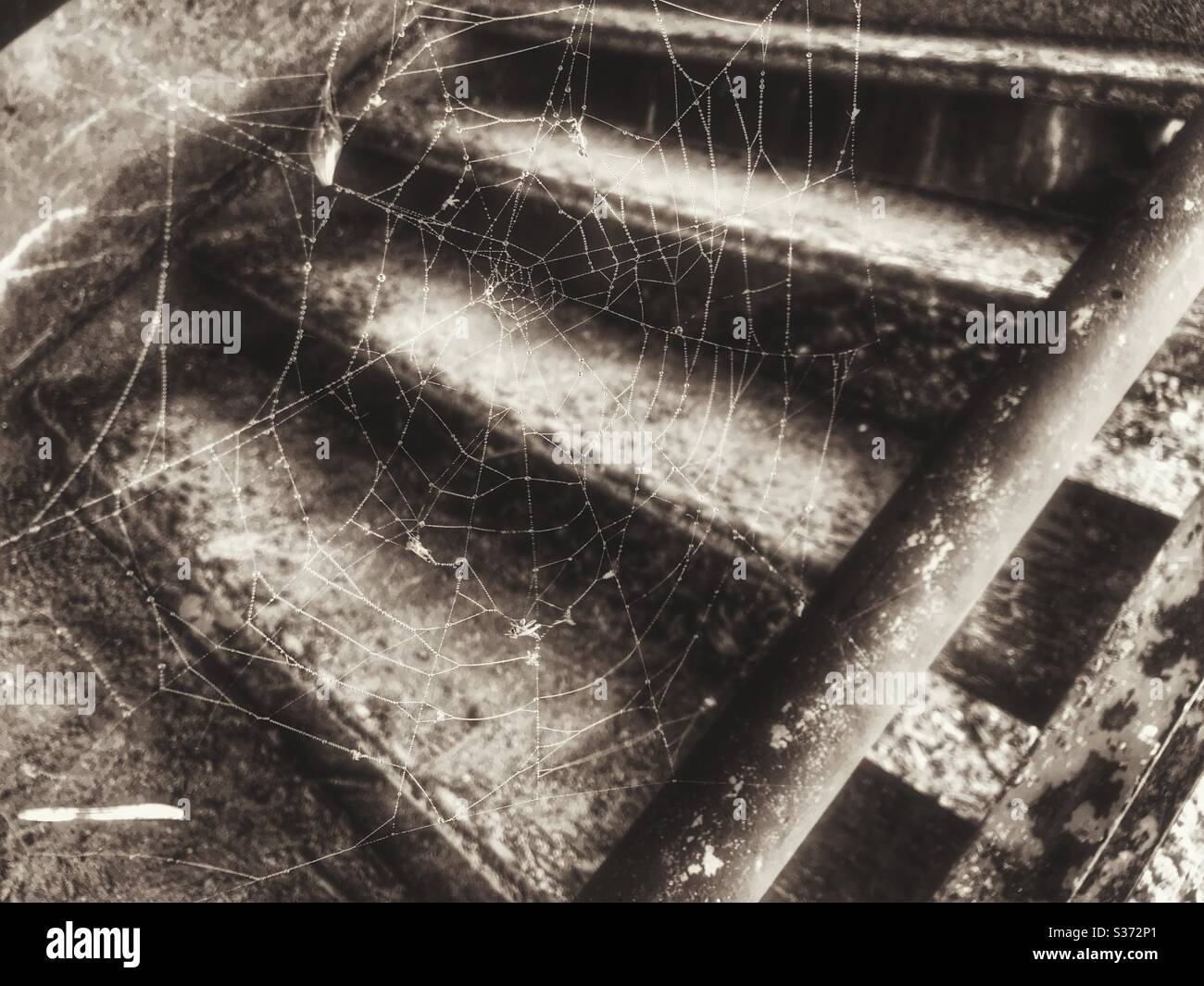 Spinnennetz auf einem Betontreppengeländer - Smartphone-aufgenommenes Stockfoto