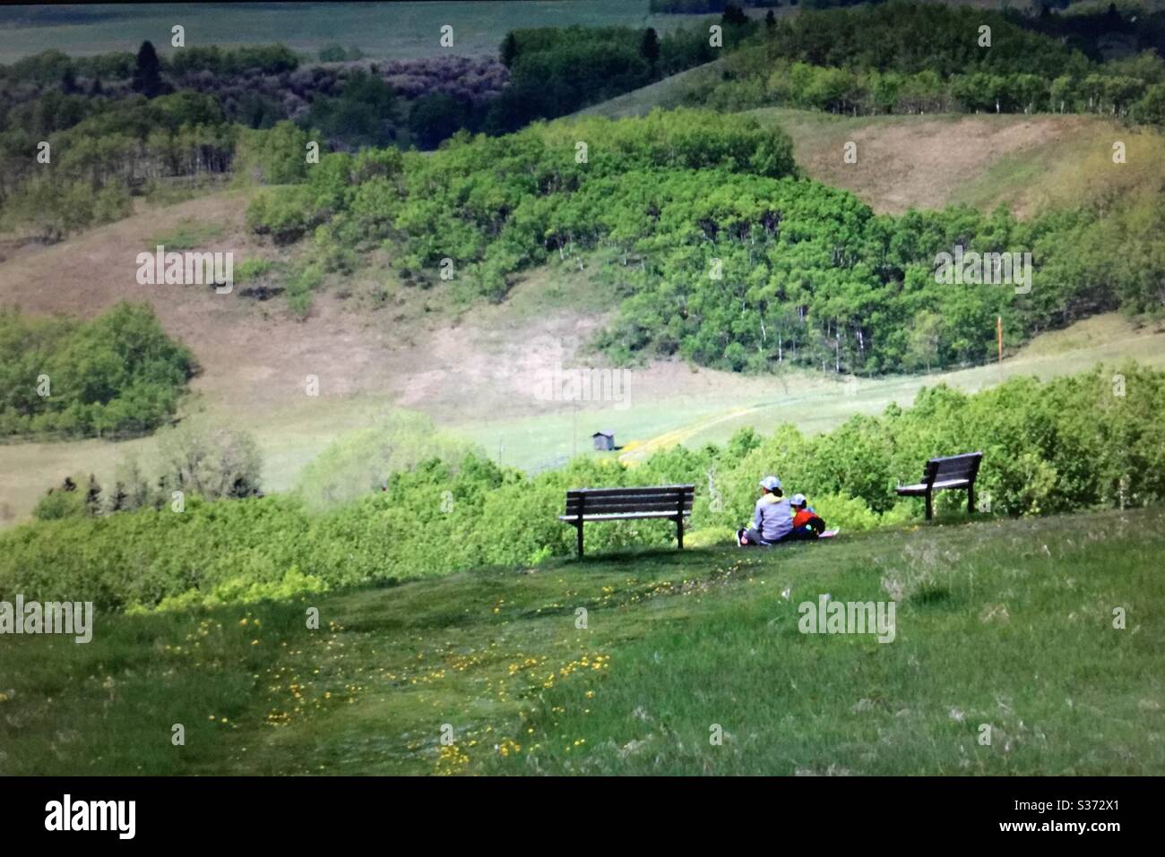 Kleines Kind, Mutter, sitzend, auf einem Hügel, mit Blick auf die Rocky Mountain Foothills, Rocky Mountains, zwei Parkbänke Stockfoto