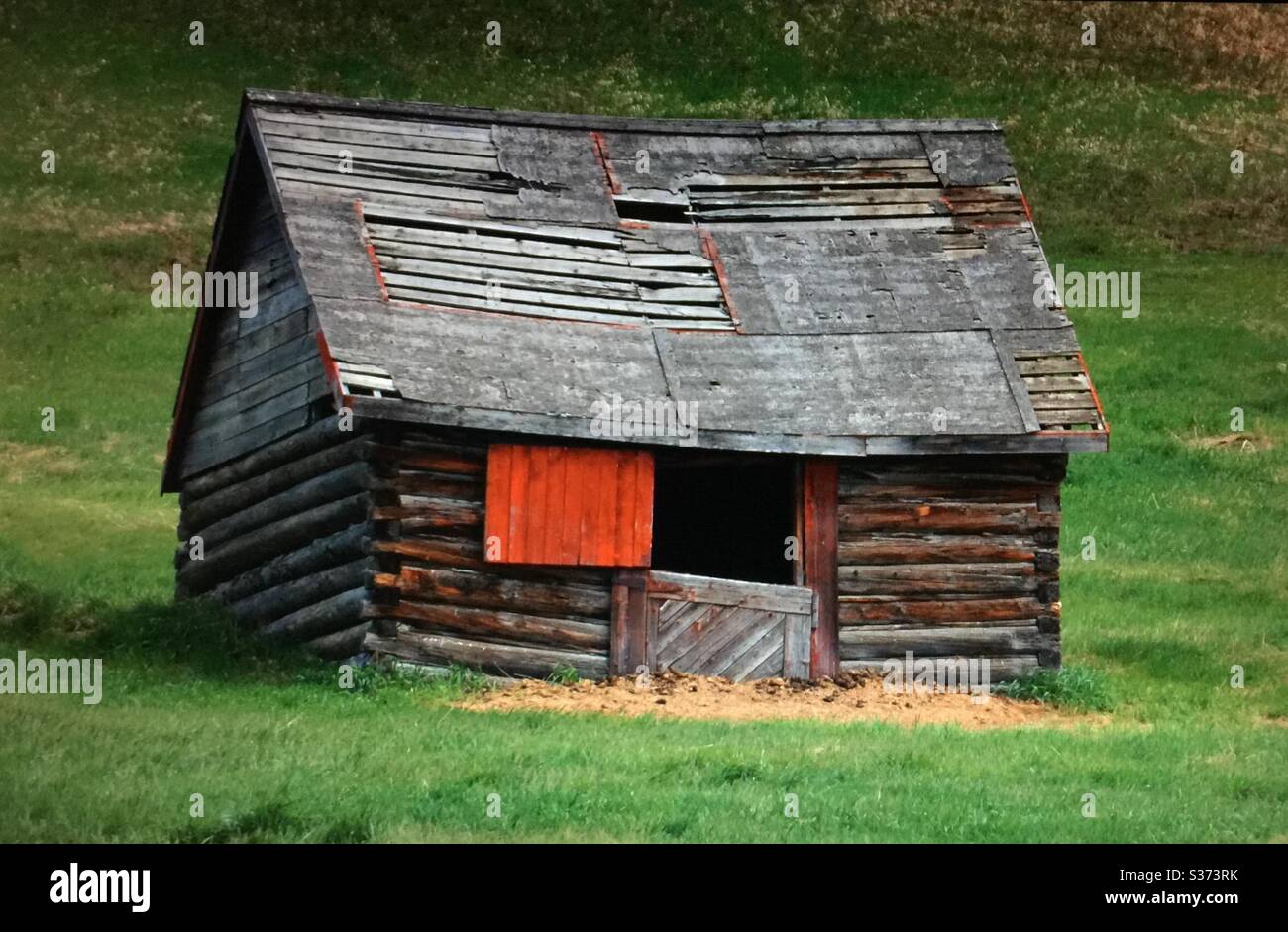 Historische Scheune, rote Tür, Tierheim, Prärien, Alberta, Kanada Stockfoto