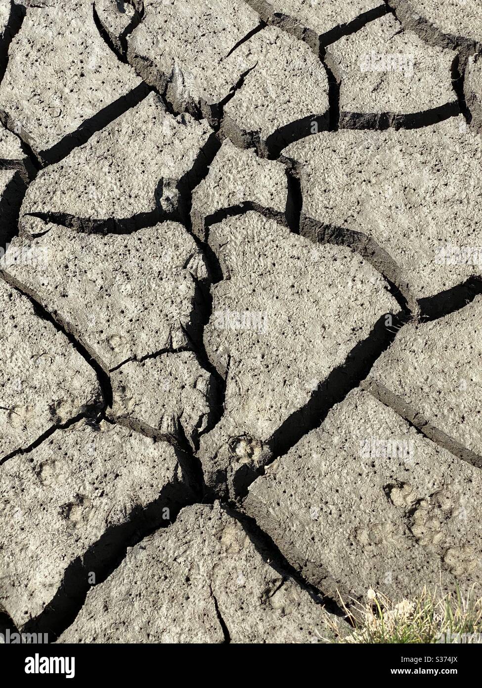 Ausgetrocknete Erde Muster von getrockneten Boden in Dürre Bedingungen Stockfoto