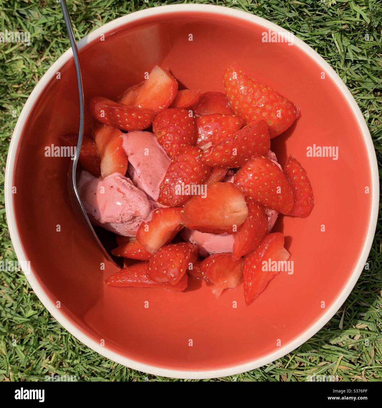 Rote Schüssel mit Erdbeeren und Eis. Erdbeeren und Sahne auftoben. 10 Minuten Rasen Wimbledon - Smartphone-aufgenommenes Stockfoto
