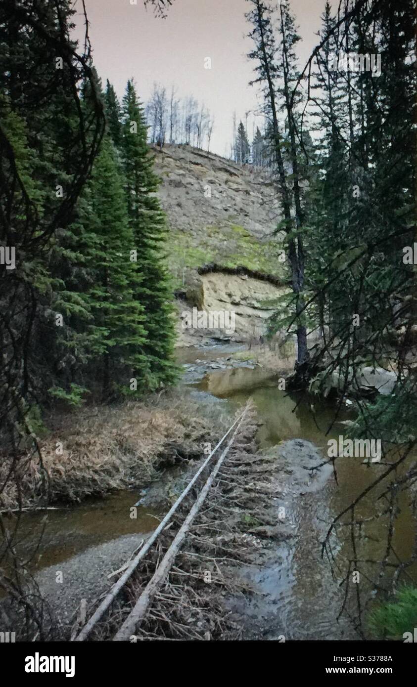 Besuchen Sie Alberta, Silver Creek, Skunk Hollow, Reisen Sie Alberta, Kanada Stockfoto