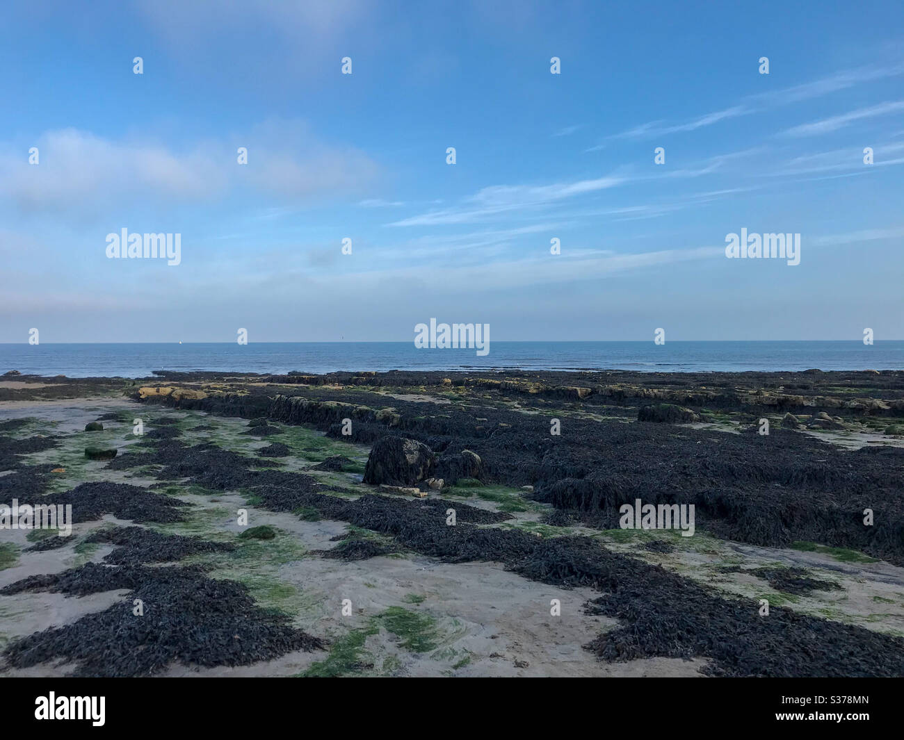 Strandaufnahme am Meer Stockfoto