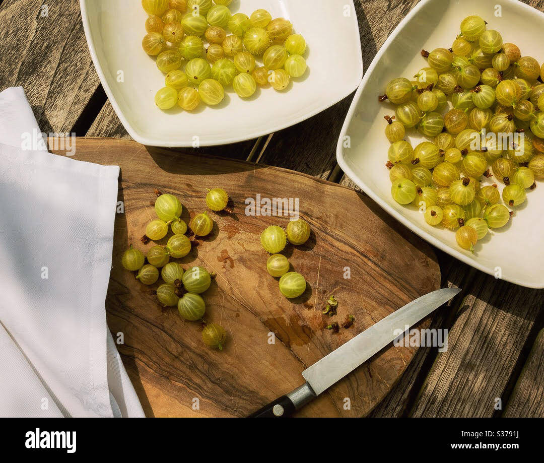 Vorbereiten von Stachelbeeren im Freien auf einem Holzbrett - Smartphone-aufgenommenes Stockfoto