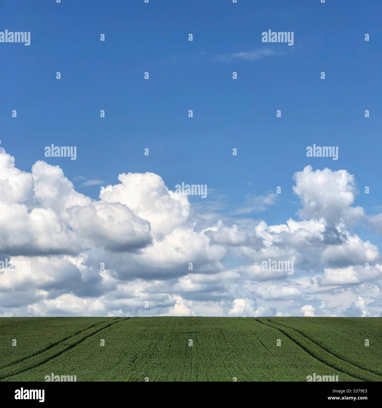 Parallele Linien. Stockfoto