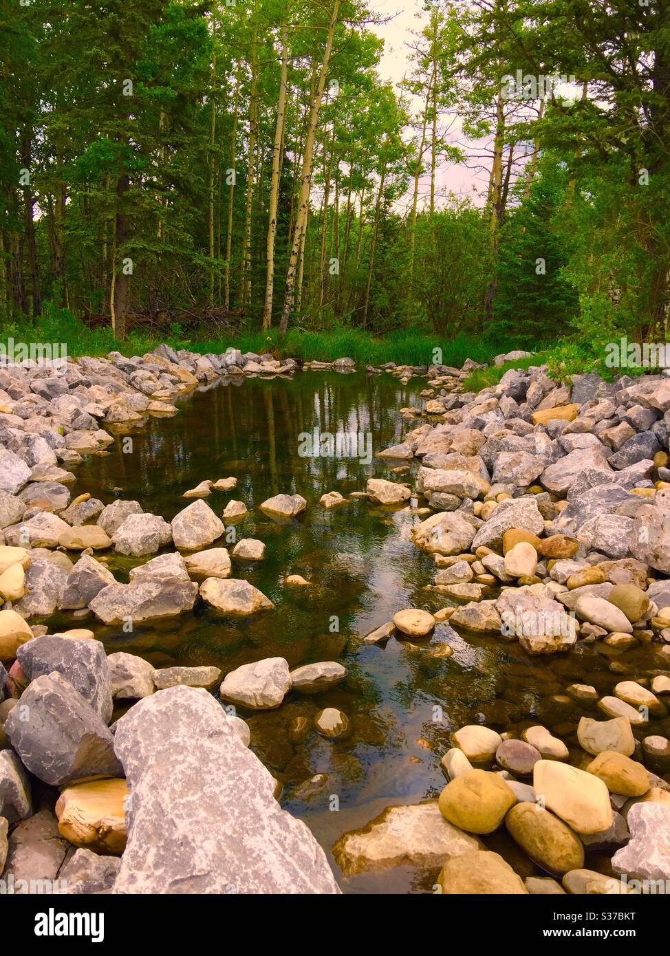 Besuchen Sie Bragg Creek, Alberta, Kanada, Damm, Teich, Bach, Bach