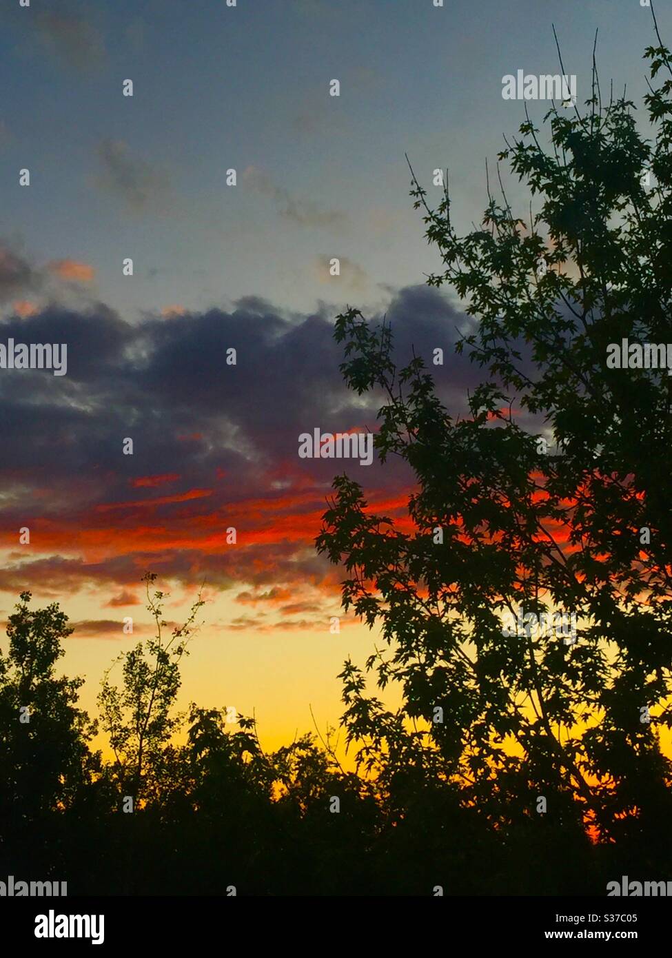 Sunrises, Calgary, Alberta, 5:03 UHR Stockfoto