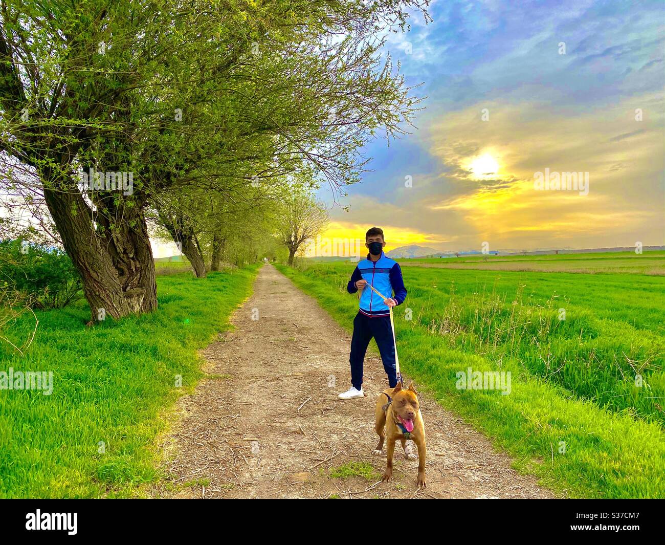 Schöner Junge mit seinem Hund in der Natur Stockfoto