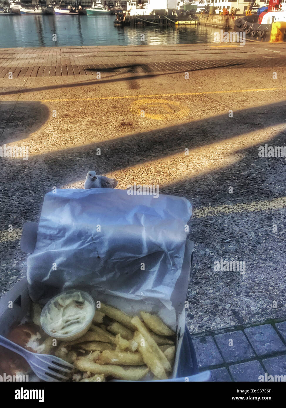 Fisch und Chips im V&A Waterfront, Kapstadt, Südafrika. Stockfoto