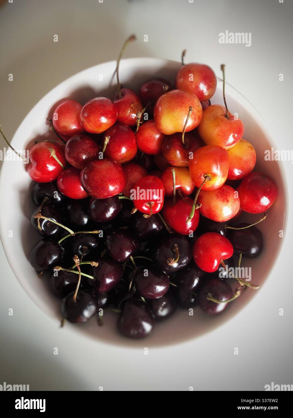 Verschiedene Arten von Süßkirschen in weißer Schale Stockfoto