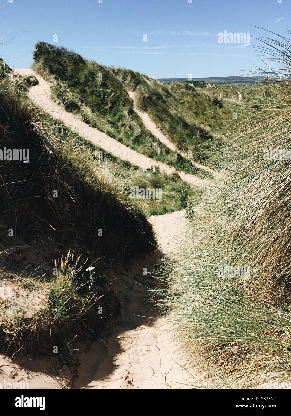 Wind weht durch grasbewachsene Sanddünen in Nordirland Stockfoto
