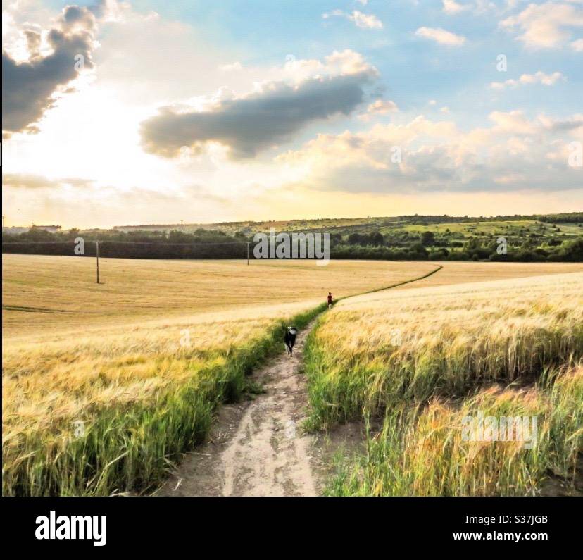 Spaziergänge - Smartphone-aufgenommenes Stockfoto