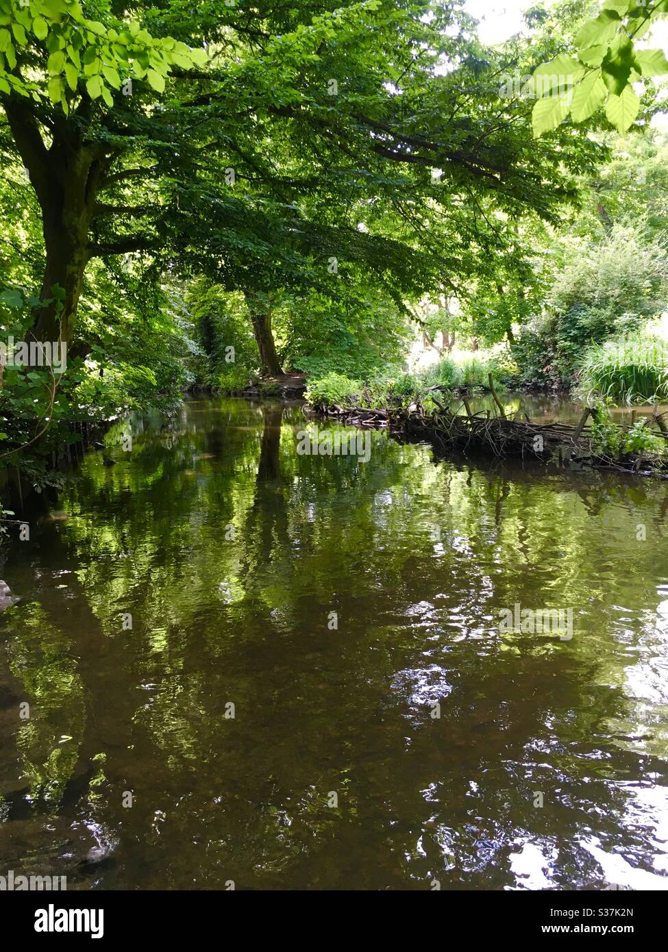 Flusskran Middlesex - Smartphone-aufgenommenes Stockfoto