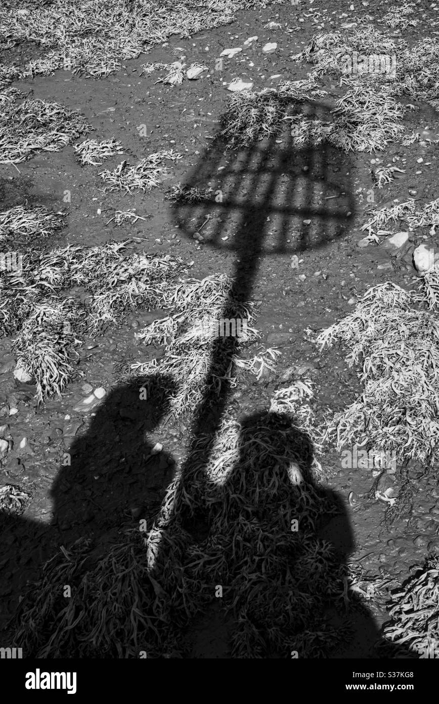 Schatten und Algen Stockfoto