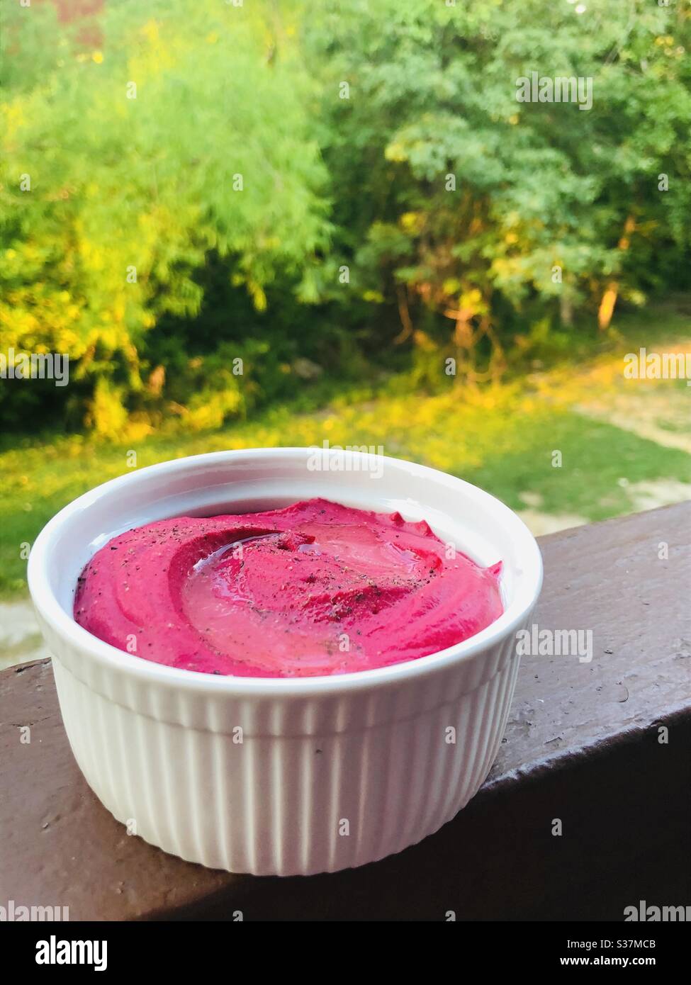 Humus Stockfoto