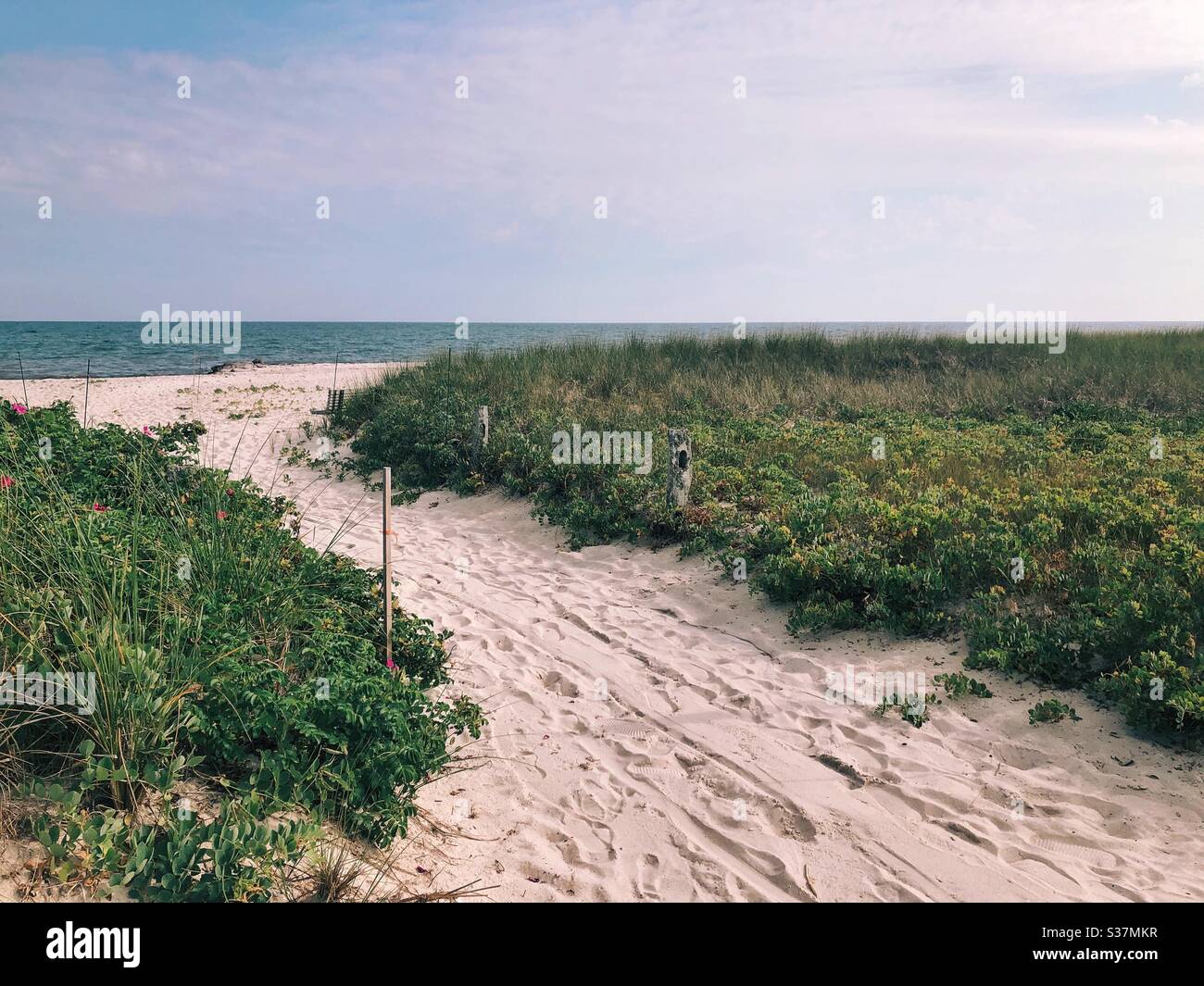 Strand Stockfoto