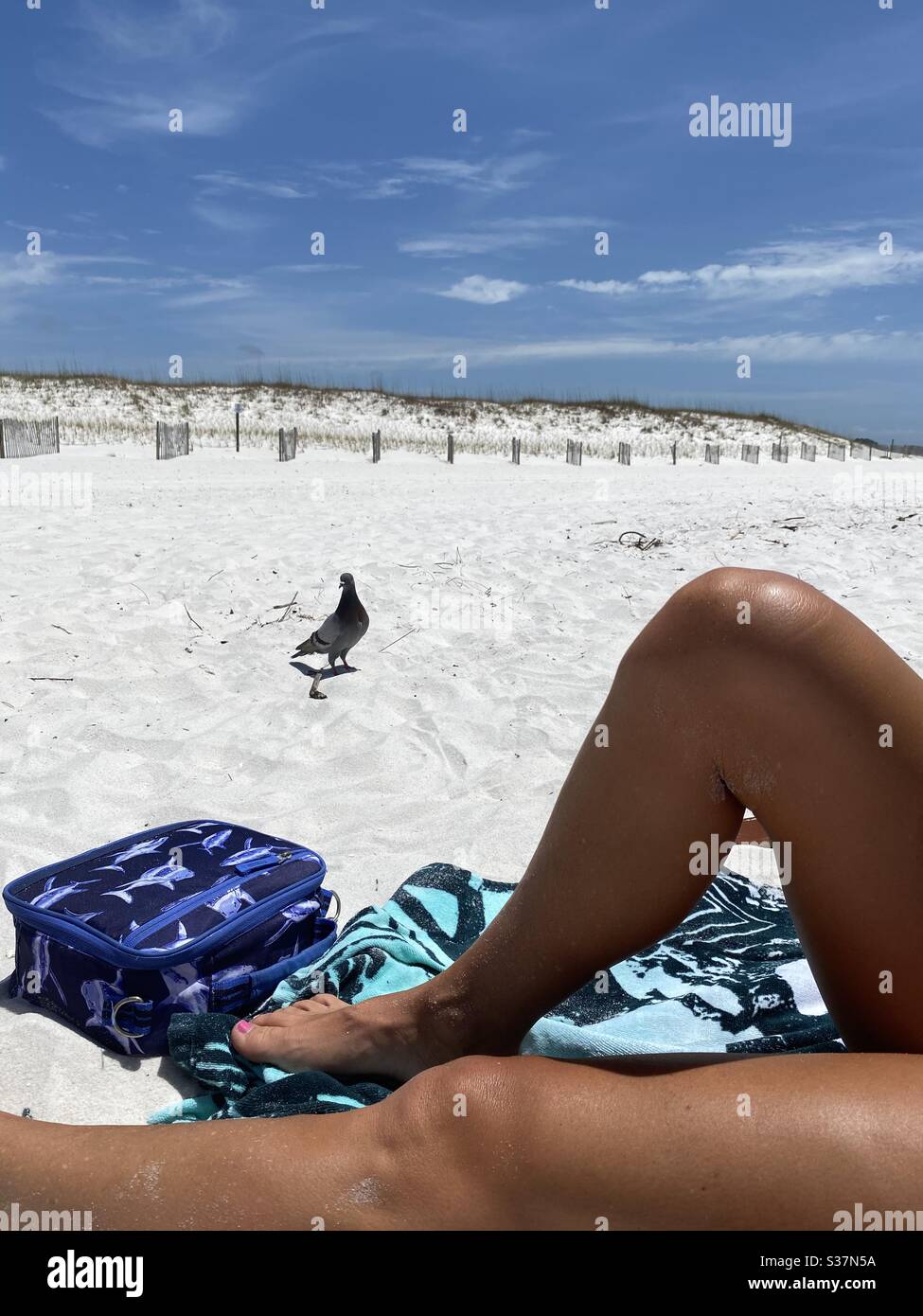 Tan Sommer Beine auf weißem Sandstrand mit Lunch-Box, Handtuch und eine Taube in der Nähe stehen Stockfoto