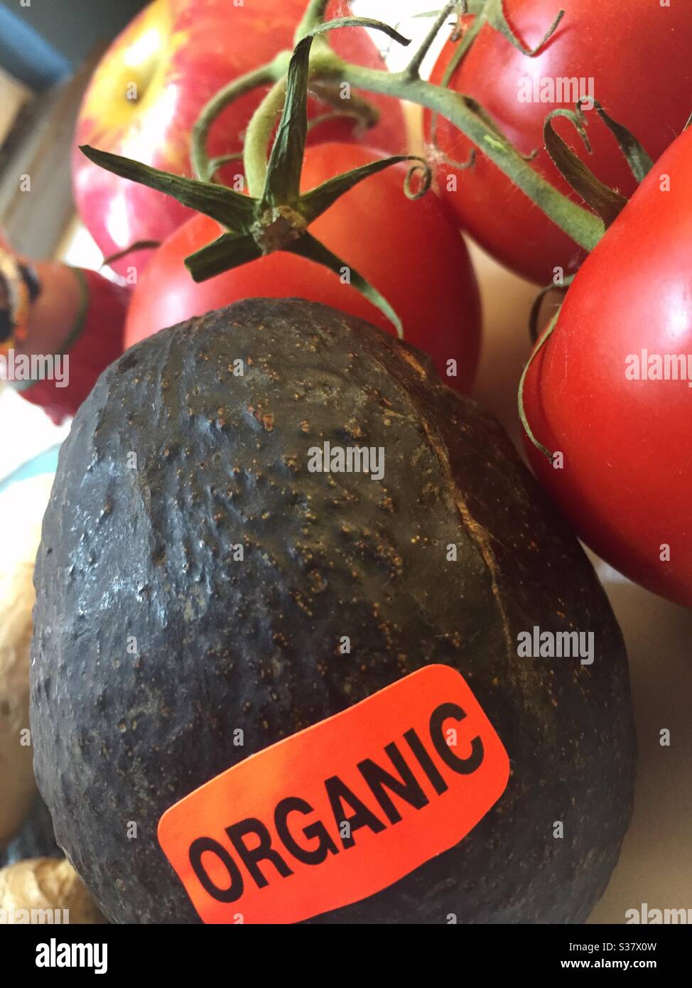 Stillleben einer Bio-Avocado und Rebe gereifte Tomaten auf der Küchentheke, USA Stockfoto