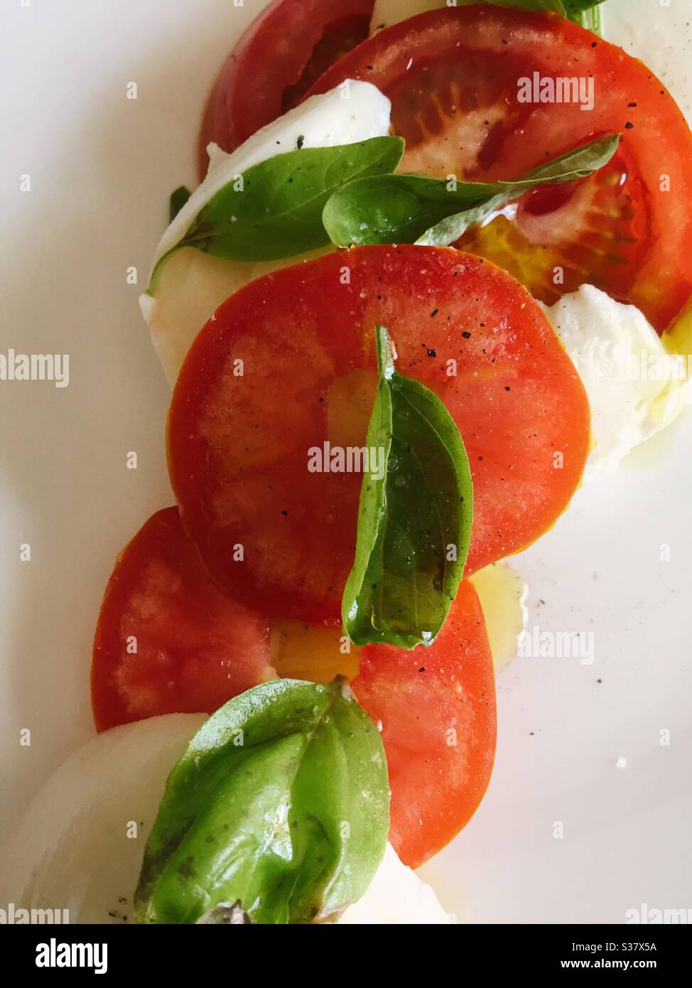 Flache Lage von Reben gereiften Tomaten, Mozzarella-Käse Scheiben und frischem Basilikum Stockfoto