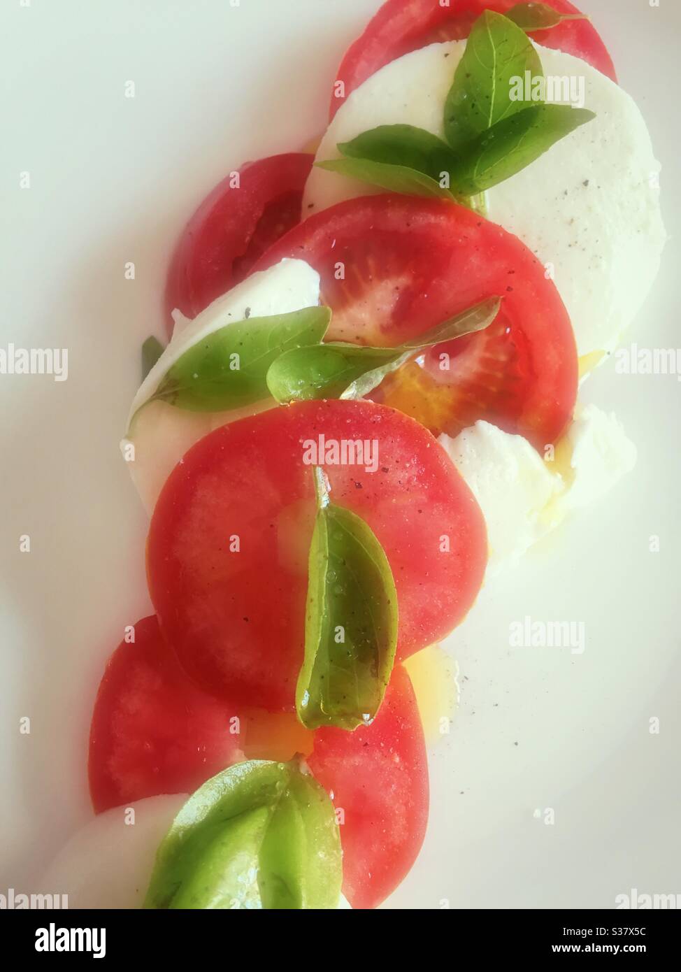 Flache Laie von einem Salat aus Tomaten, Käse und frischen Basilikumblättern Stockfoto