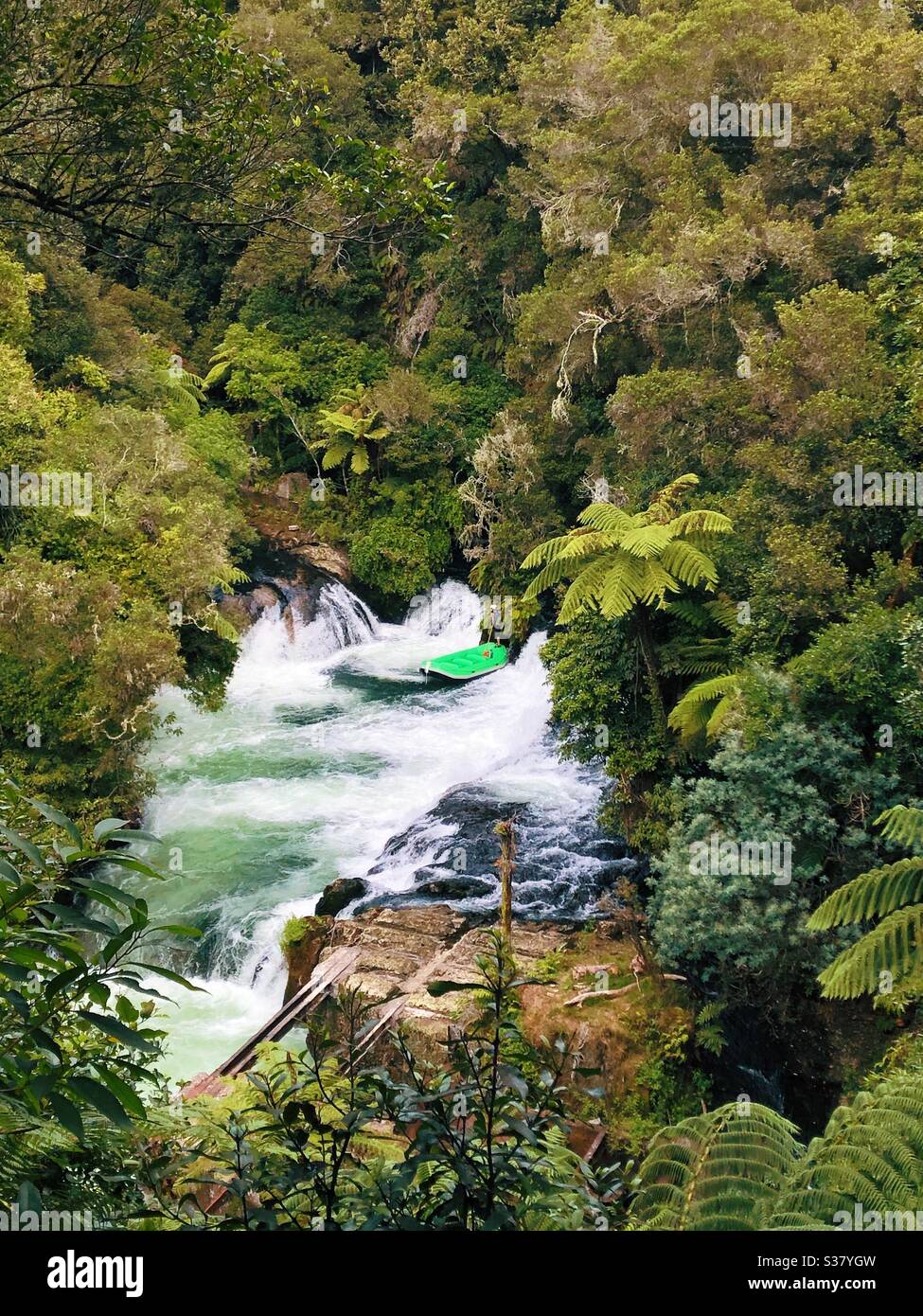 Rafting Boot in Neuseeland. Üppige grüne Vegetation. Stockfoto