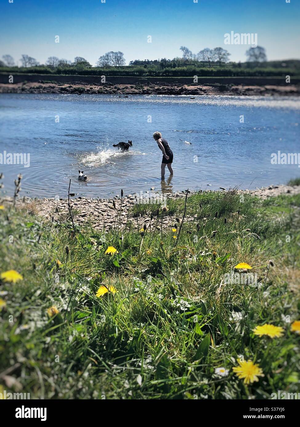 Paddeln im Fluss Stockfoto