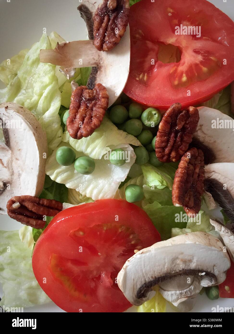 Flach legen Sie einen Gourmet-Salat mit Romaine-Salat, in Scheiben geschnittenen, gereiften Tomaten und kandierten Pekannüssen Stockfoto