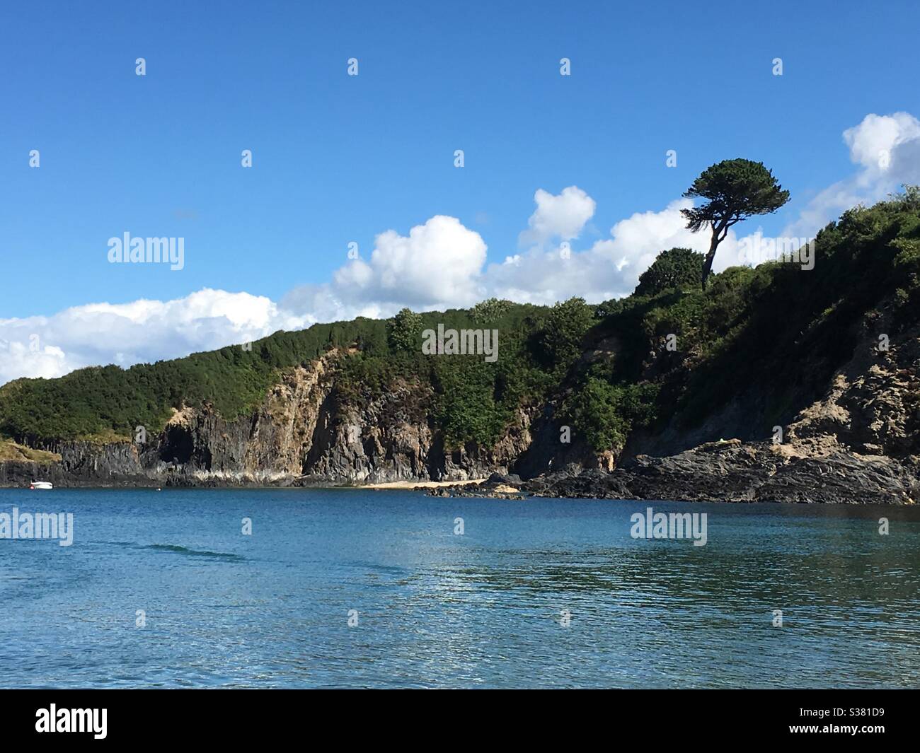 Baum am Rand der Klippen - Smartphone-aufgenommenes Stockfoto