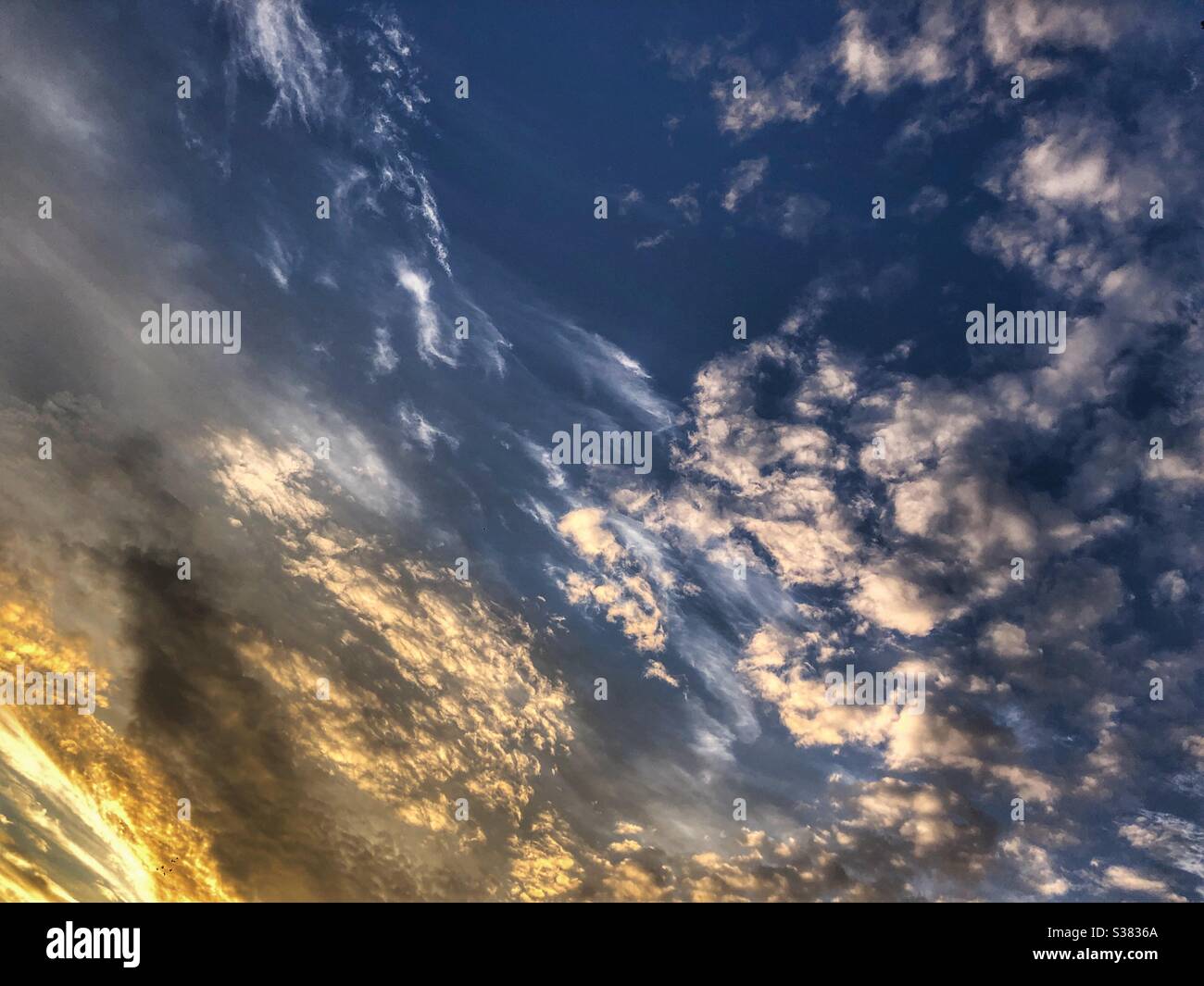 Dramatische skyscape. Stockfoto