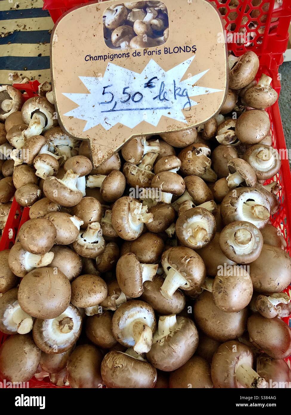 Champignons de Paris Blondes zum Verkauf auf französischem Marktstand - Le Blanc, Indre, Frankreich. - Smartphone-aufgenommenes Stockfoto