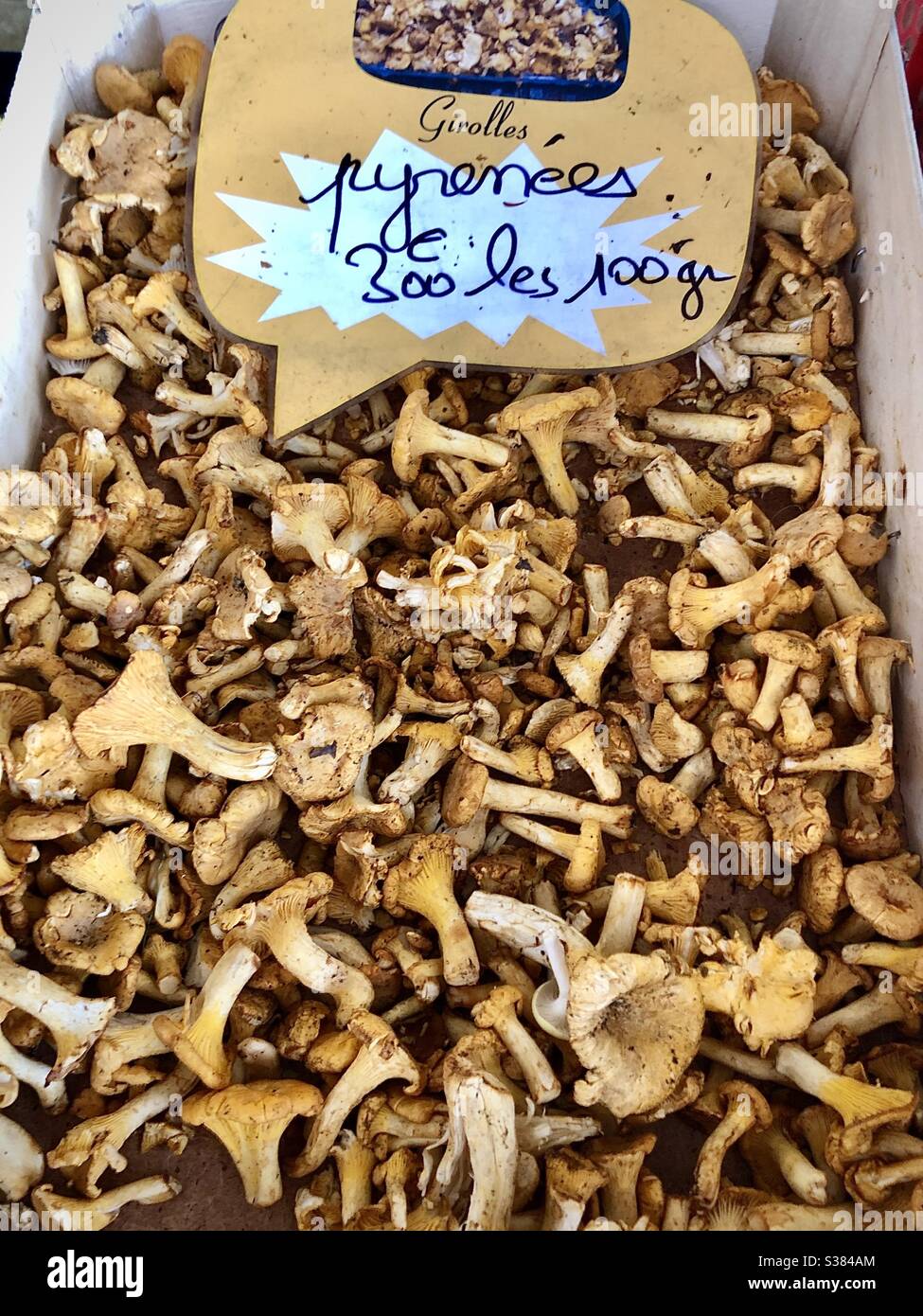 Girolles de Pyrénées Pilze zum Verkauf auf dem französischen Marktstand. Stockfoto