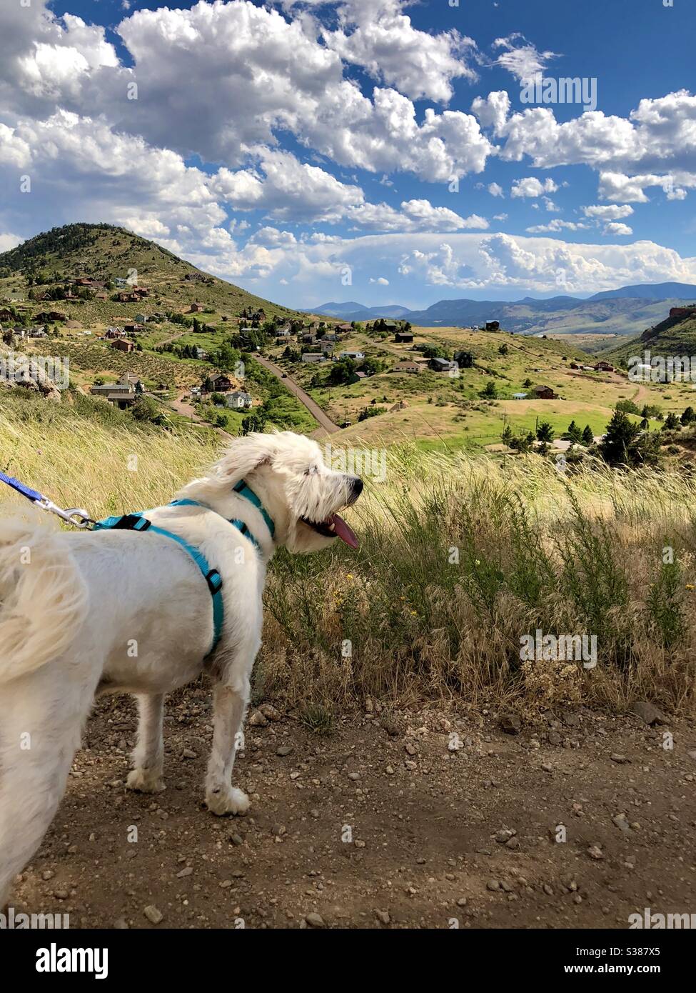 Wesley eine Wanderung am wunderschönen Horsetooth Rock in Colorado genießen. Stockfoto