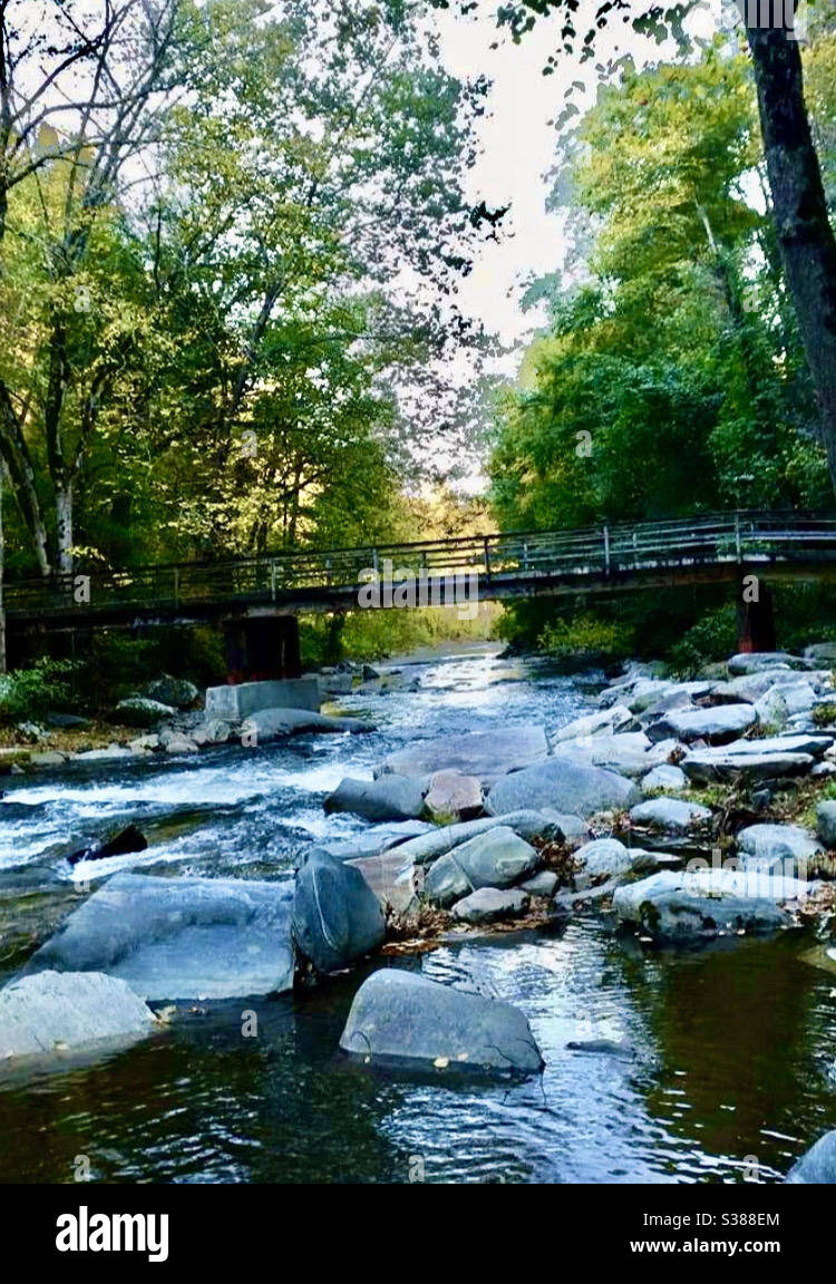 Rocky Broad River, Bat Cave North Carolina Stockfoto