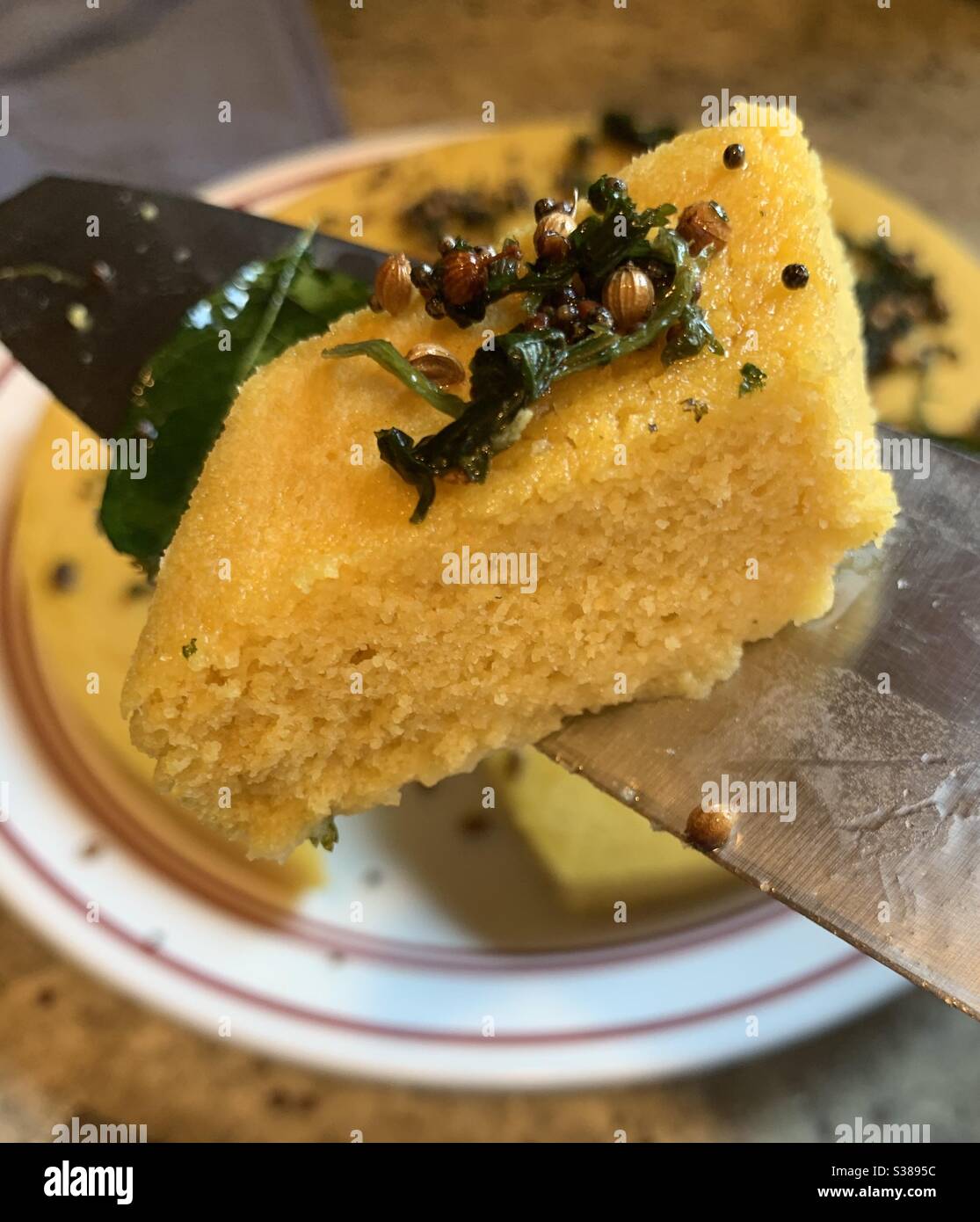 Frisch hausgemachtes Dhokla Stockfoto