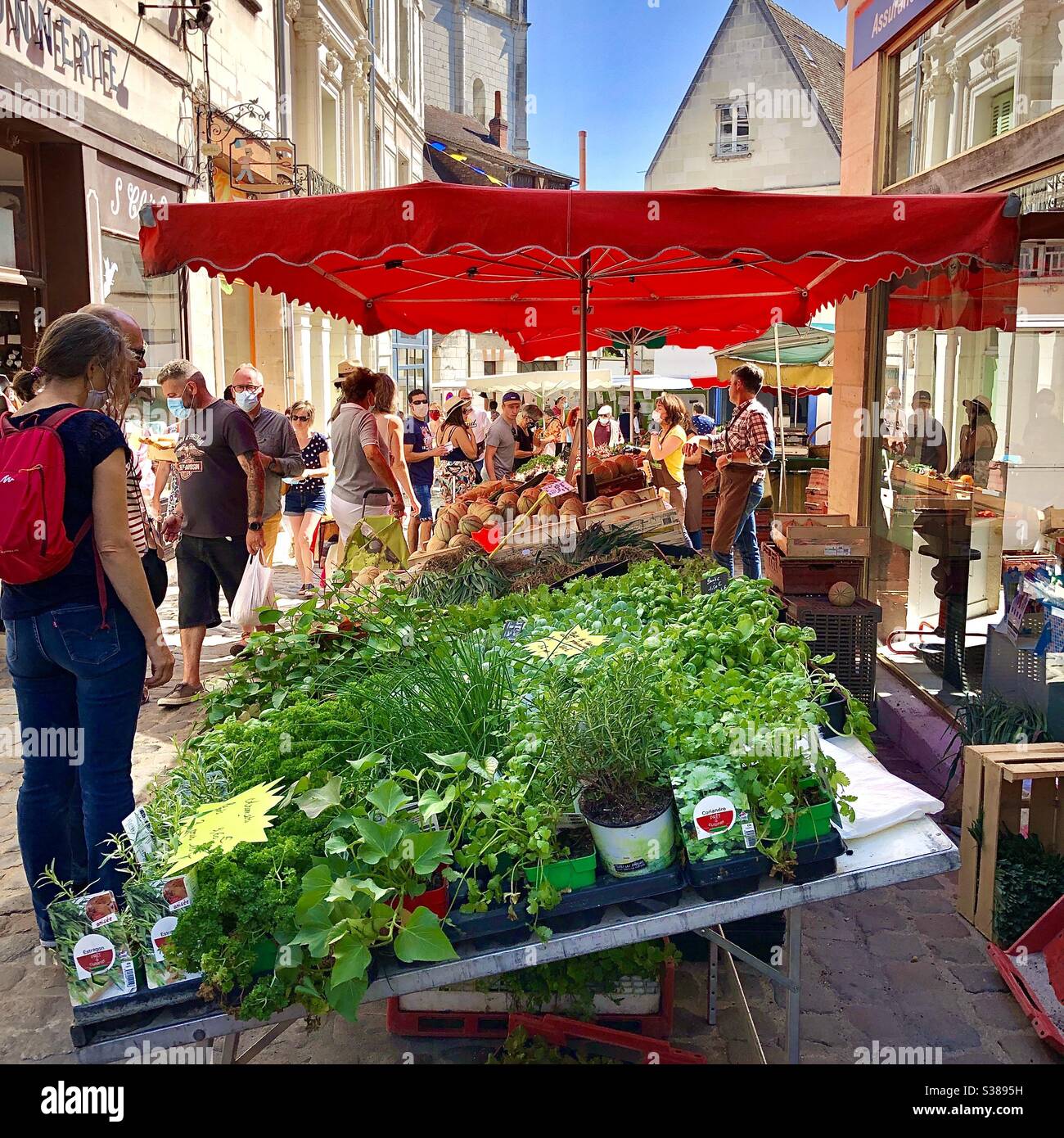 Französischer Marktstand mit einer Auswahl an frischen Kräutern - Loches, Indre-et-Loire, Frankreich. - Smartphone-aufgenommenes Stockfoto