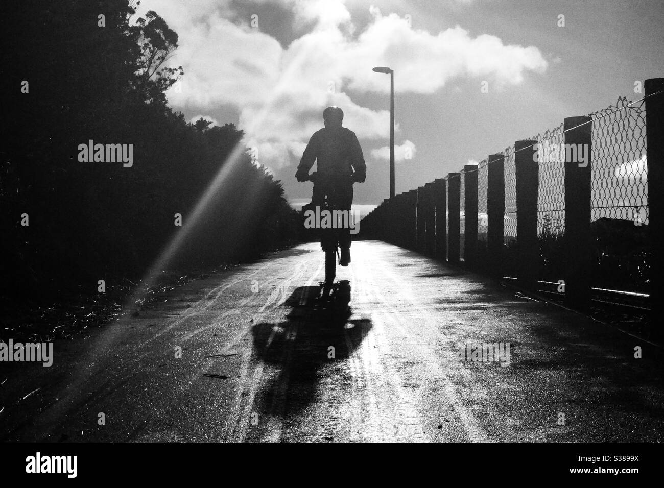 Jagt meinen Schatten - Smartphone-aufgenommenes Stockfoto